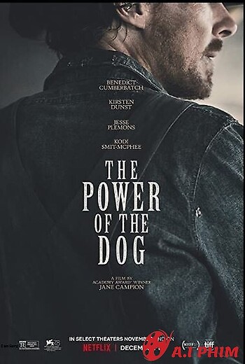 The Power Of The Dog