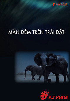 Màn Đêm Trên Trái Đất