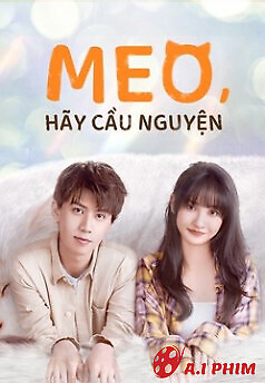 Meo, Hãy Cầu Nguyện