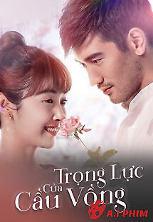 Trọng Lực Của Cầu Vồng