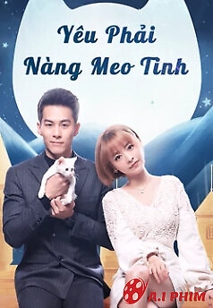 Yêu Phải Nàng Meo Tinh