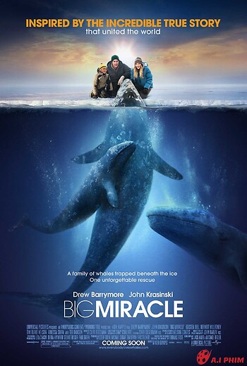 Big Miracle