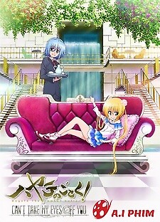 Hayate No Gotoku! Can't Take My Eyes Off You