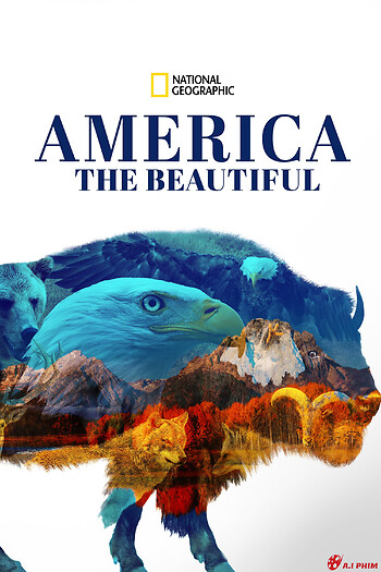 America The Beautiful