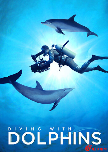 Diving With Dolphins