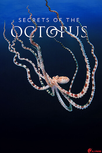 Secrets Of The Octopus - Secrets Of The Octopus