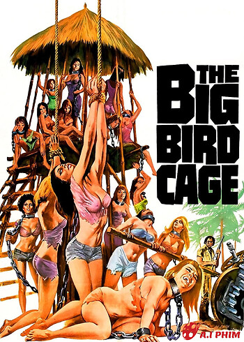 The Big Bird Cage