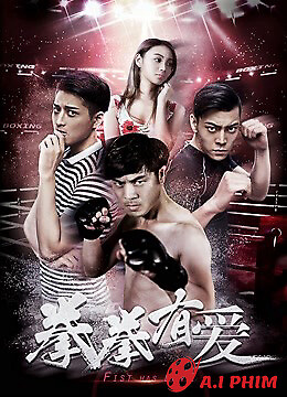 Yêu Boxer